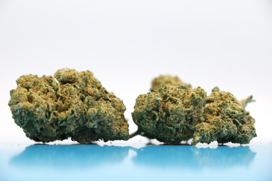 Alien Haze - INDOOR ***Qualité PREMIUM***