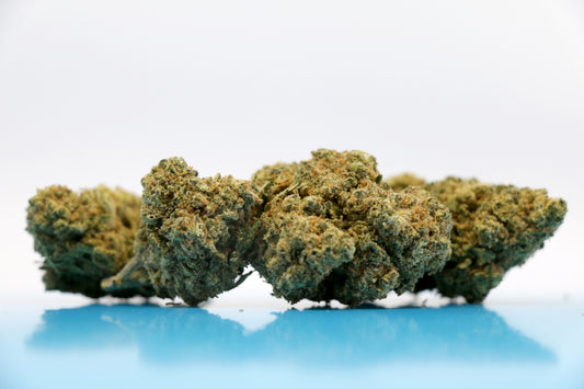 Jack Herer - INDOOR ***Qualité PREMIUM***