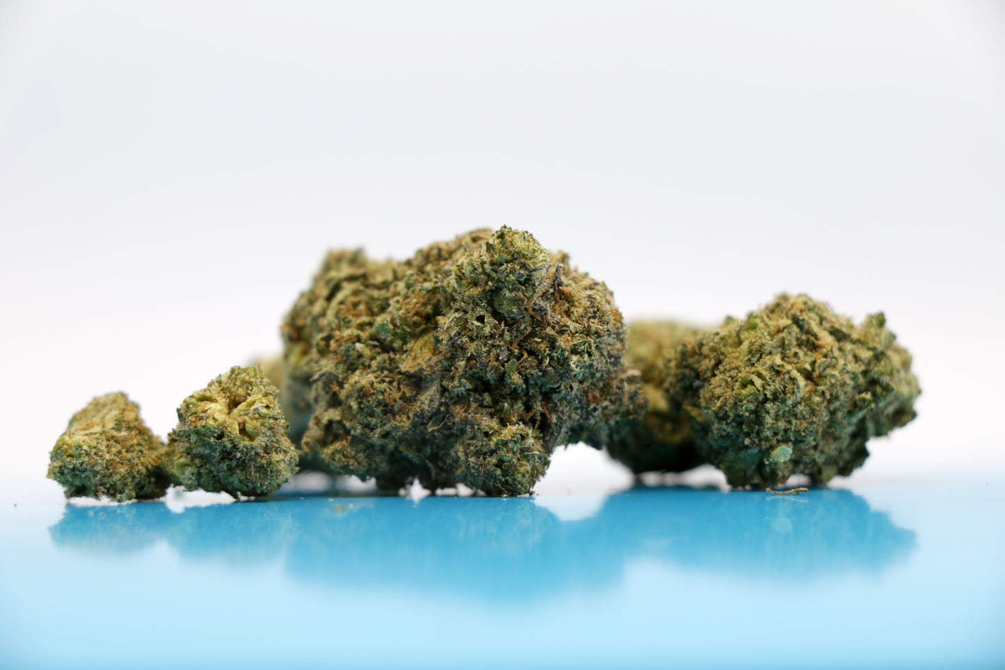 Zkittlez - INDOOR ***Qualité PREMIUM***