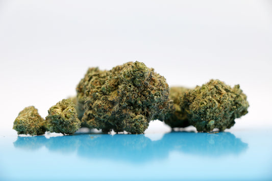 Zkittlez - INDOOR ***Qualité PREMIUM***