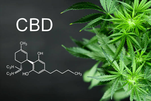 Comprendre: C'est quoi le CBD?