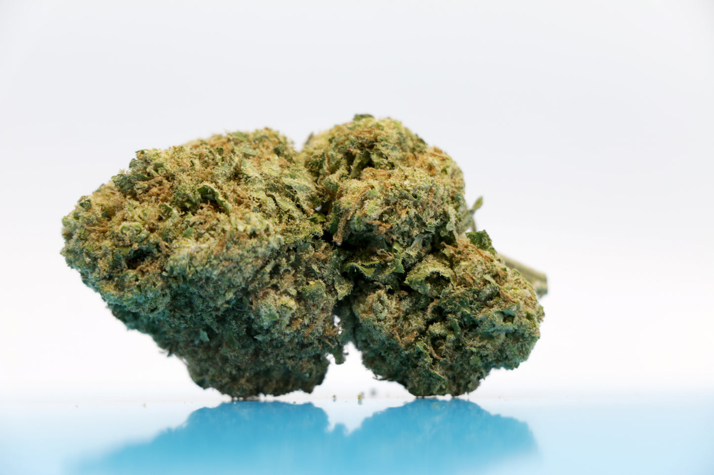 Alien Haze - INDOOR ***Qualité PREMIUM***