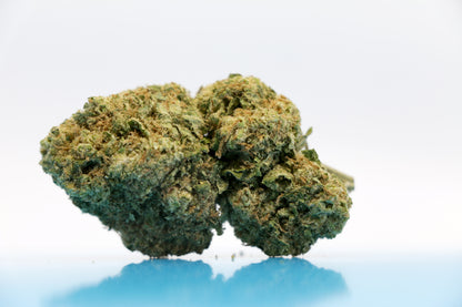 Alien Haze - INDOOR ***Qualité PREMIUM***