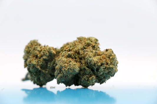 Jack Herer - INDOOR ***Qualité PREMIUM***